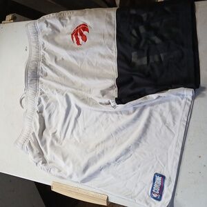 Toronto raptors shorts